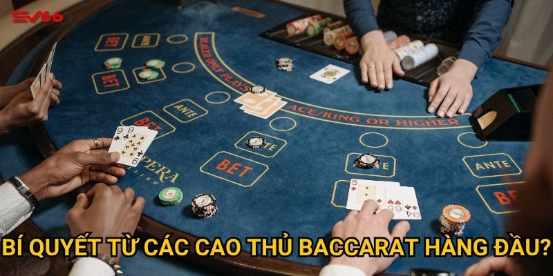 Bí quyết từ các cao thủ baccarat hàng đầu?