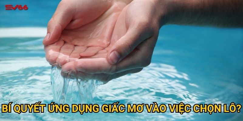 Bí quyết ứng dụng giấc mơ vào việc chọn lô?
