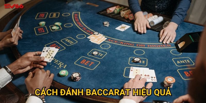 Làm thế nào để áp dụng cách đánh baccarat hiệu quả tại SV66?