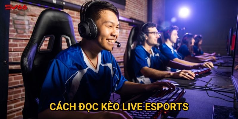 Cách đọc kèo live esports