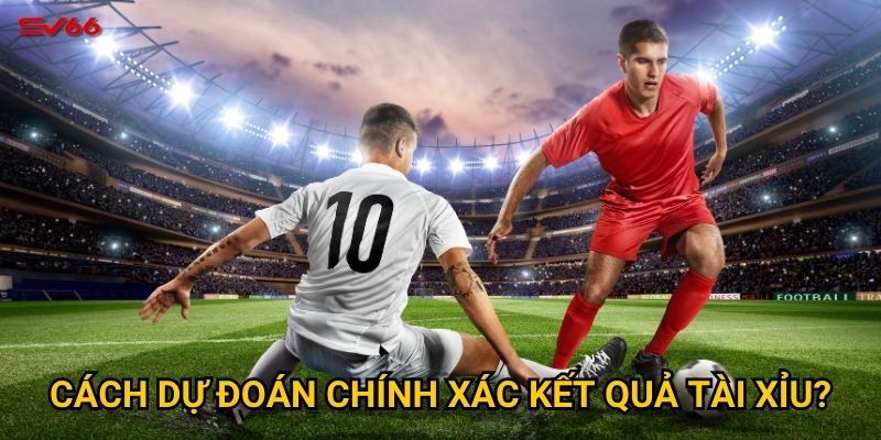 Cách dự đoán chính xác kết quả tài xỉu