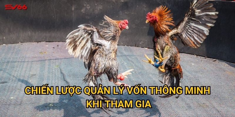 Chiến lược quản lý vốn thông minh khi tham gia?