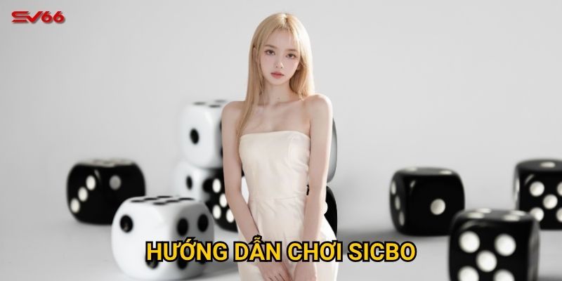 Bạn có muốn làm chủ hướng dẫn chơi sicbo tại SV66 không?