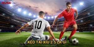 Kèo tài xỉu 2.5 là gì
