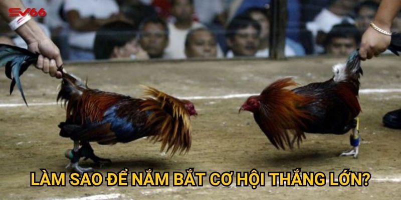 Làm sao để nắm bắt cơ hội thắng lớn?